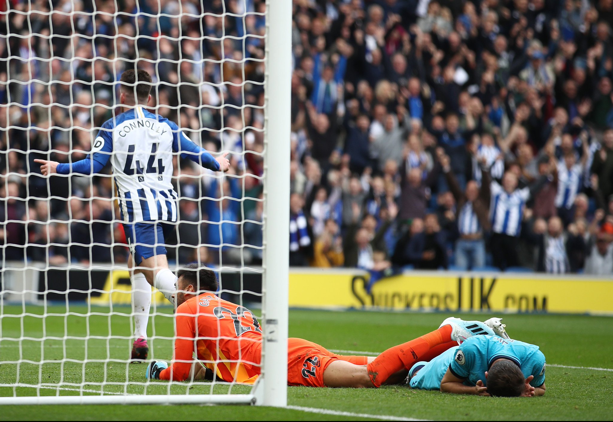 篮球领域发 篮球领域发